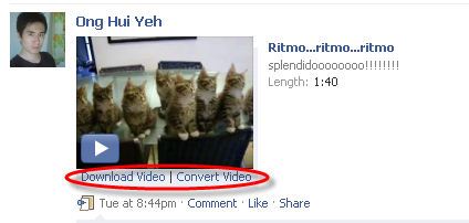 Download and Convert Videos in Facebook