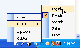 Set Default Language to English