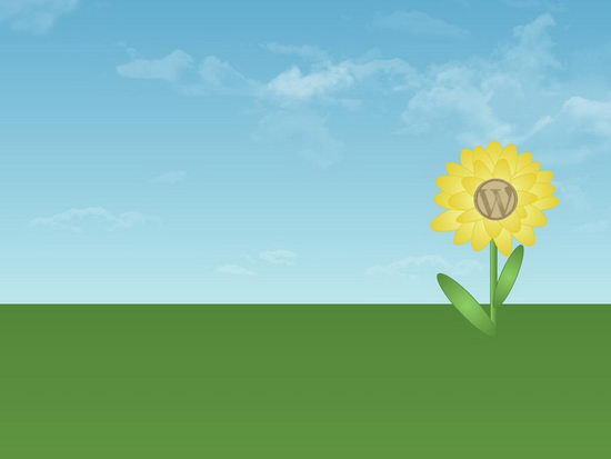 sunflowers wallpaper. WordPress Sunflower Wallpaper