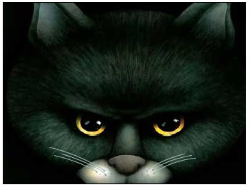 Download Scary Black Cat screensaver