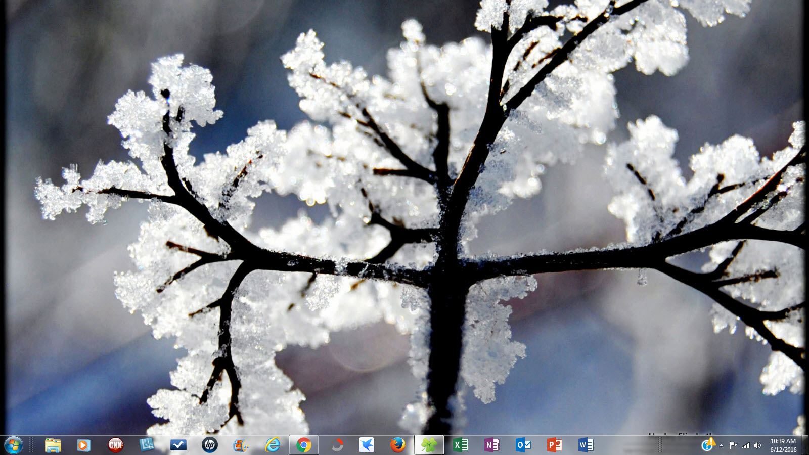 Windows 7 Christmas Theme Winter Garden