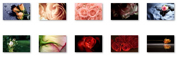 Roses Windows 7 Valentine Time