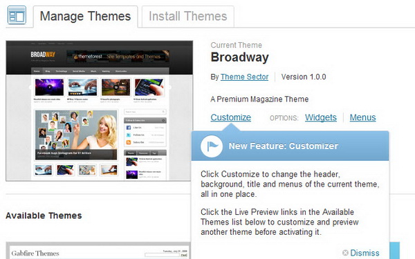 Wordpress 3.4 - Theme Live Preview