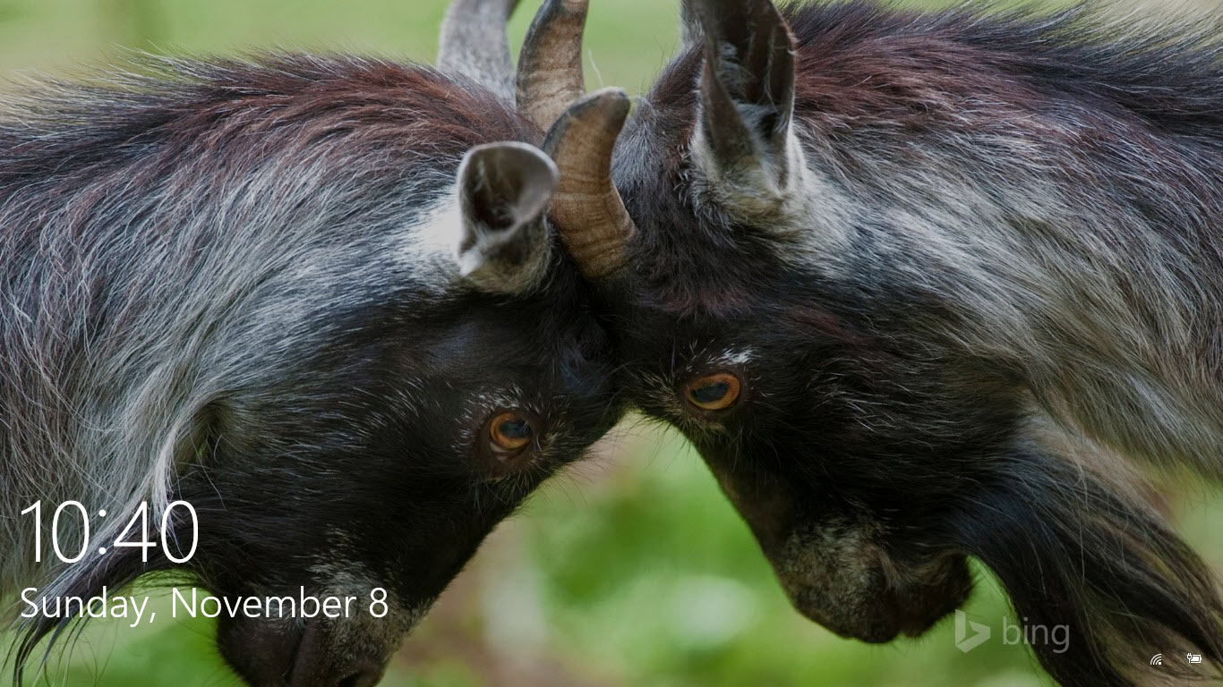 Set Bing Daily Image as Windows 10 Lock Screen