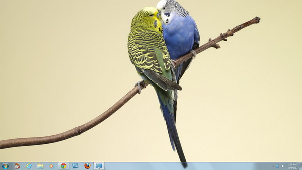 Animal Affection Windows 7 Valentine Theme