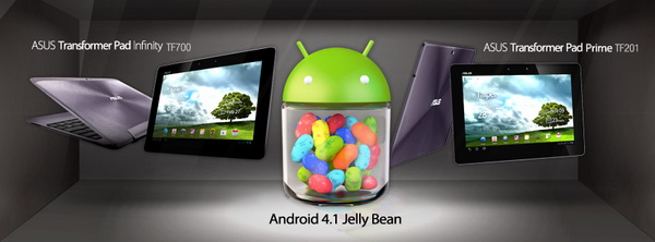 Jelly Bean Update for ASUS Transformer Pads