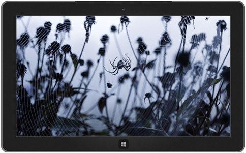 Creepy Cobwebs Halloween Theme Pack for Windows 8