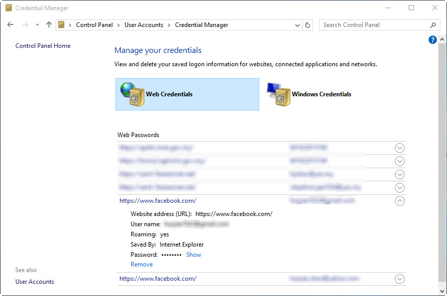 review microsoft edge password manager